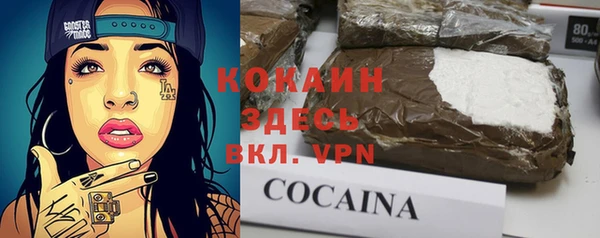 дмт Верея